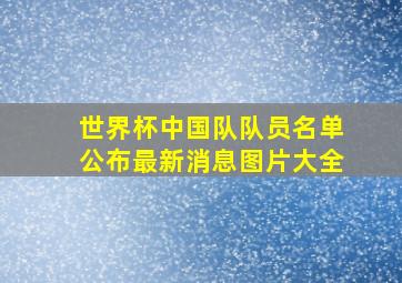 世界杯中国队队员名单公布最新消息图片大全