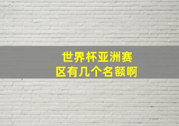 世界杯亚洲赛区有几个名额啊