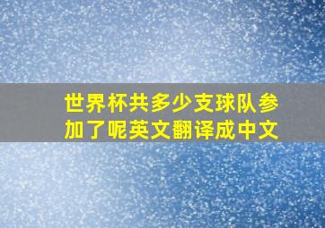 世界杯共多少支球队参加了呢英文翻译成中文