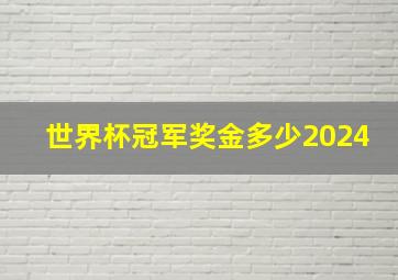 世界杯冠军奖金多少2024