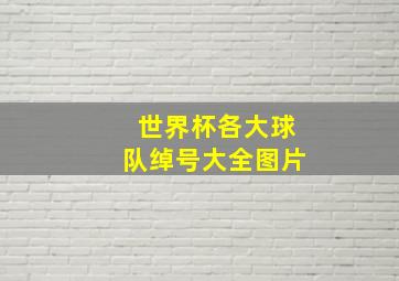 世界杯各大球队绰号大全图片