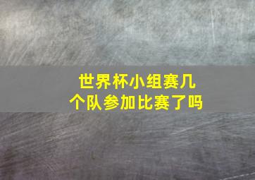 世界杯小组赛几个队参加比赛了吗