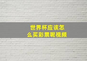 世界杯应该怎么买彩票呢视频