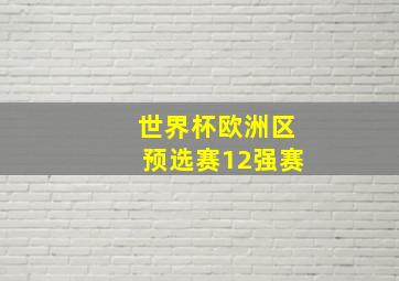 世界杯欧洲区预选赛12强赛