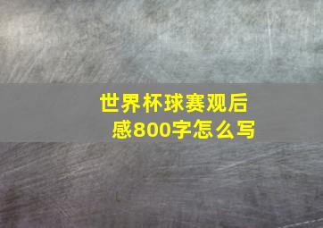 世界杯球赛观后感800字怎么写