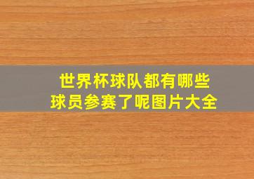 世界杯球队都有哪些球员参赛了呢图片大全