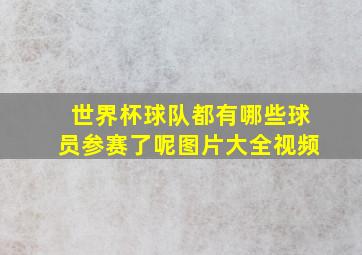 世界杯球队都有哪些球员参赛了呢图片大全视频