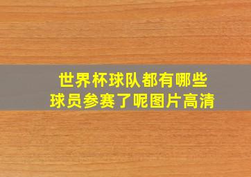 世界杯球队都有哪些球员参赛了呢图片高清