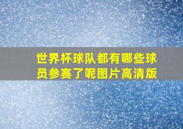 世界杯球队都有哪些球员参赛了呢图片高清版