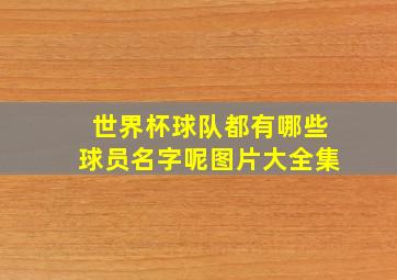 世界杯球队都有哪些球员名字呢图片大全集