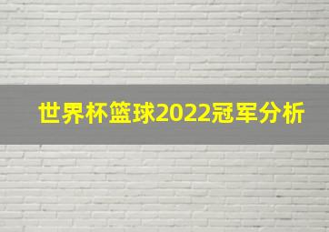 世界杯篮球2022冠军分析