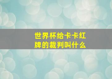 世界杯给卡卡红牌的裁判叫什么