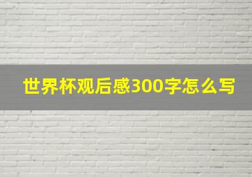 世界杯观后感300字怎么写