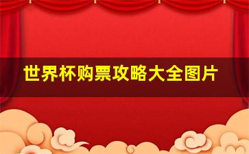 世界杯购票攻略大全图片