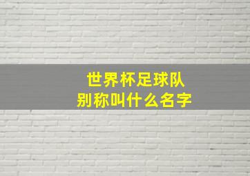 世界杯足球队别称叫什么名字