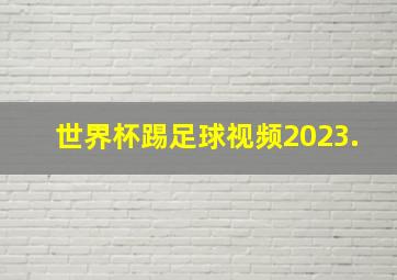 世界杯踢足球视频2023.