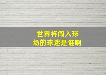 世界杯闯入球场的球迷是谁啊