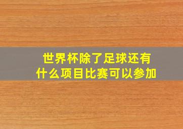 世界杯除了足球还有什么项目比赛可以参加