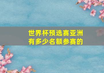 世界杯预选赛亚洲有多少名额参赛的