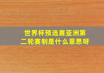 世界杯预选赛亚洲第二轮赛制是什么意思呀