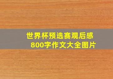 世界杯预选赛观后感800字作文大全图片