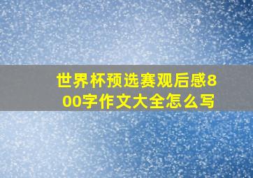 世界杯预选赛观后感800字作文大全怎么写