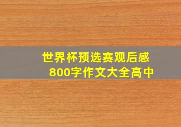 世界杯预选赛观后感800字作文大全高中