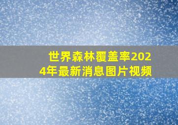 世界森林覆盖率2024年最新消息图片视频