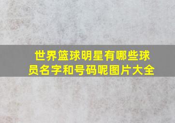 世界篮球明星有哪些球员名字和号码呢图片大全