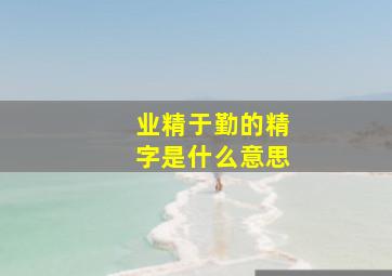 业精于勤的精字是什么意思