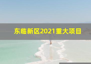 东临新区2021重大项目