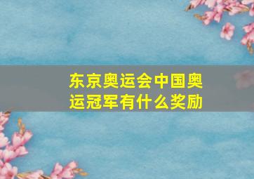 东京奥运会中国奥运冠军有什么奖励