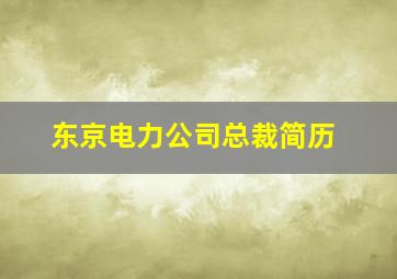 东京电力公司总裁简历