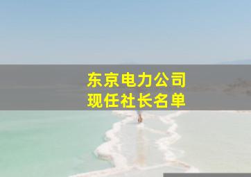 东京电力公司现任社长名单