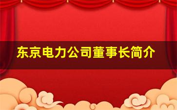 东京电力公司董事长简介