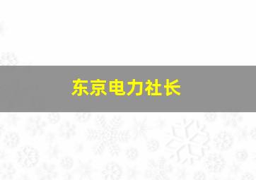 东京电力社长