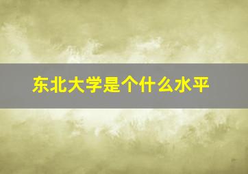 东北大学是个什么水平