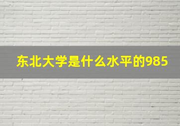 东北大学是什么水平的985