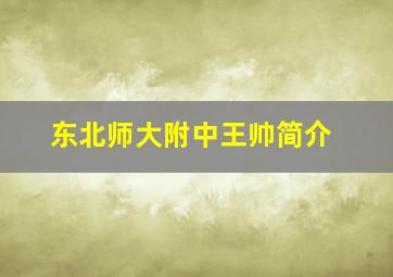 东北师大附中王帅简介