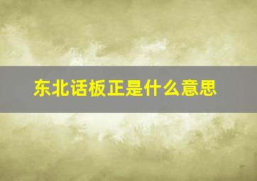 东北话板正是什么意思