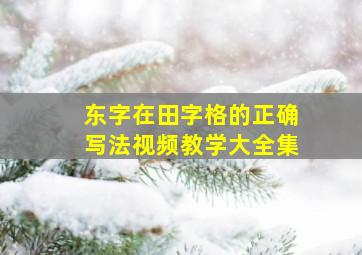 东字在田字格的正确写法视频教学大全集