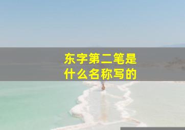 东字第二笔是什么名称写的