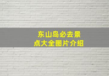 东山岛必去景点大全图片介绍