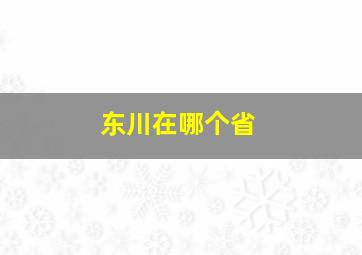 东川在哪个省