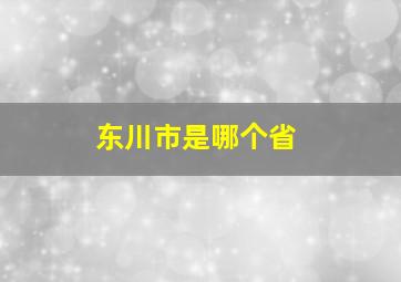 东川市是哪个省