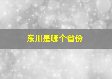 东川是哪个省份