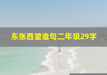 东张西望造句二年级29字