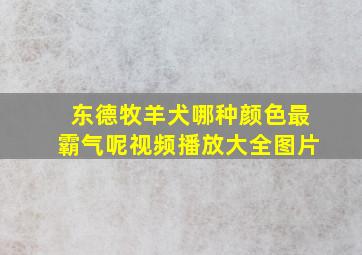 东德牧羊犬哪种颜色最霸气呢视频播放大全图片