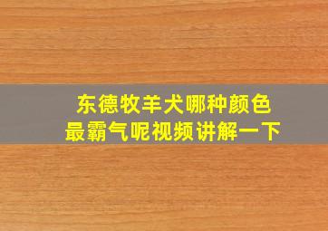 东德牧羊犬哪种颜色最霸气呢视频讲解一下