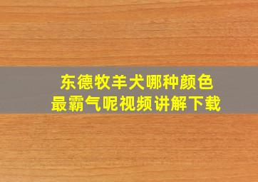 东德牧羊犬哪种颜色最霸气呢视频讲解下载